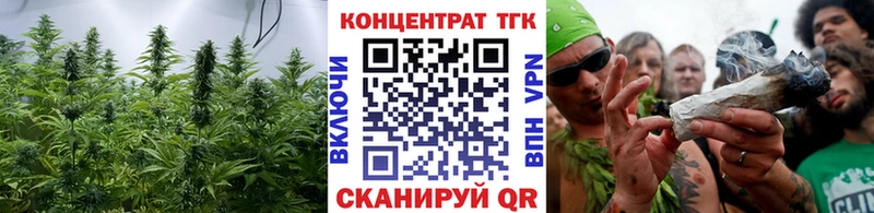 ТГК гашишное масло Магас