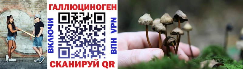 Псилоцибиновые грибы мицелий  Магас 