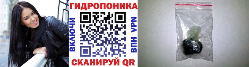 Бошки Шишки MAZAR  Магас 